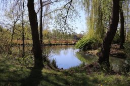 Schlossinsel Schlossinsel