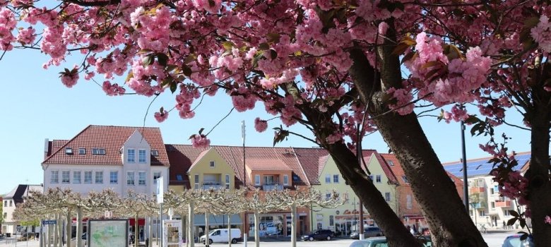 Der Lübbener Marktplatz im Frühling