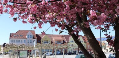 Der Lübbener Marktplatz im Frühling