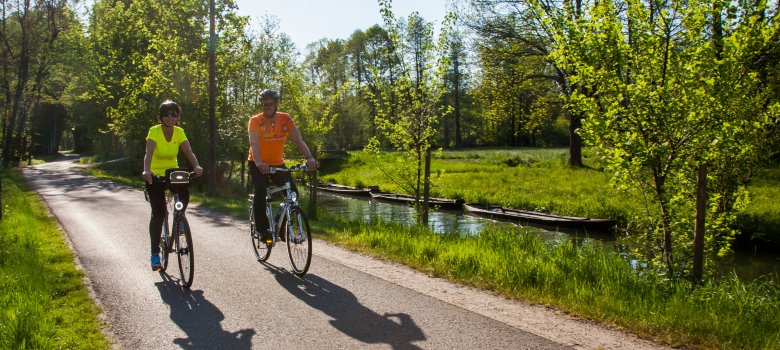 Radfahrer unterwegs im Spreewald