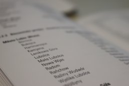 Sorbische Ortsteil-Namen Sorbische Ortsteil-Namen in einem Buch mit Namenslisten