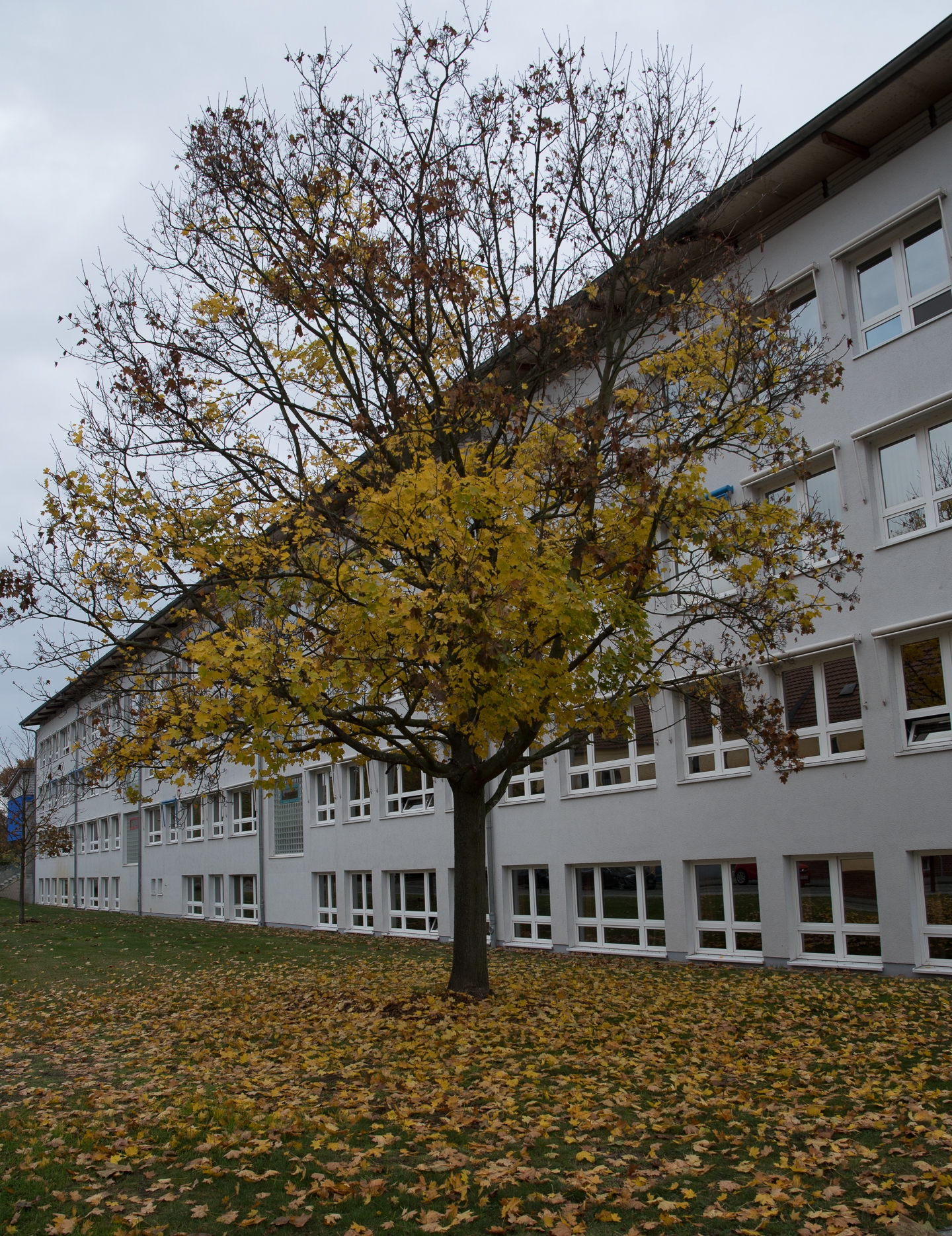 Die Lübbener Spreewaldschule Bild