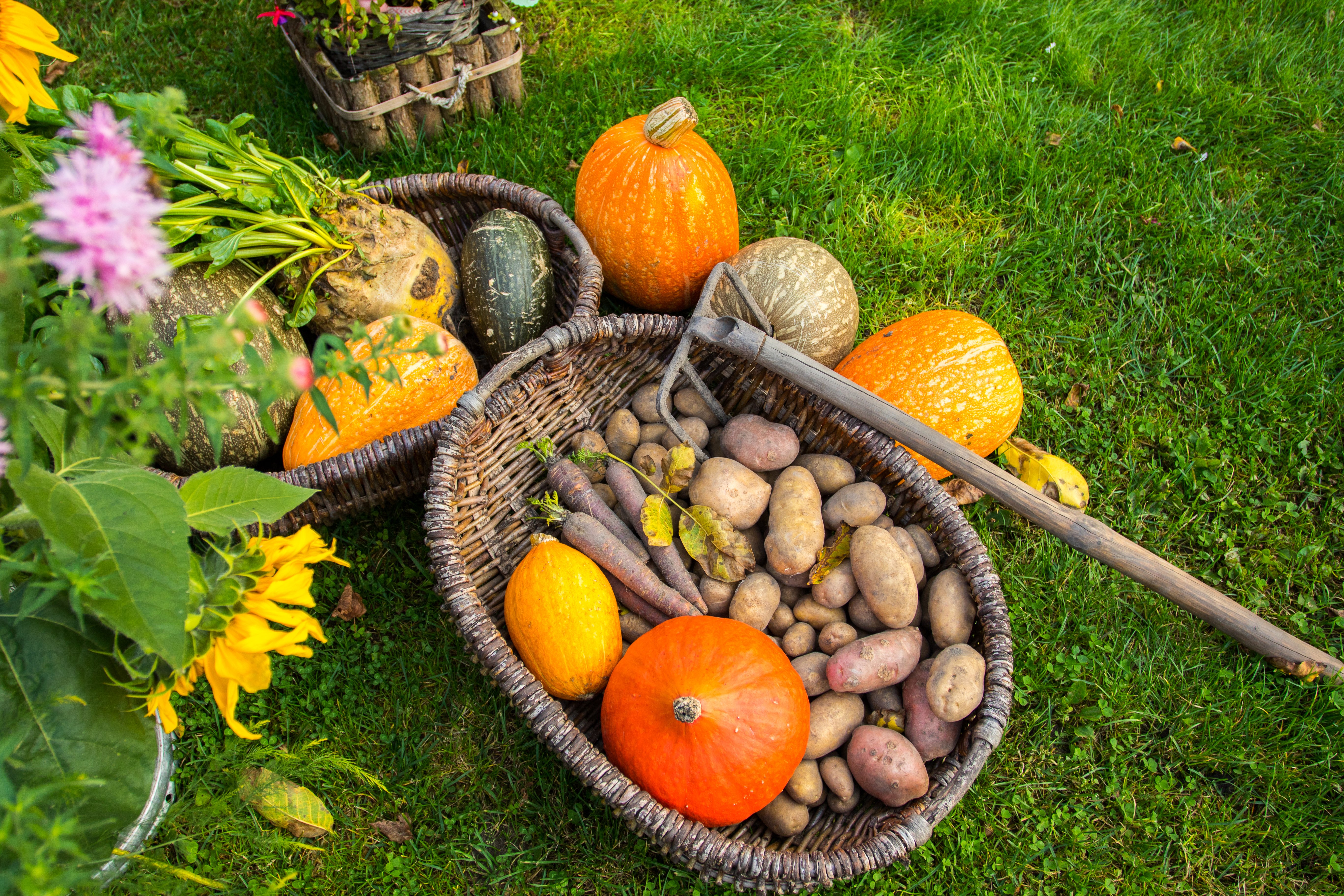 Nacht der Kürbislichter